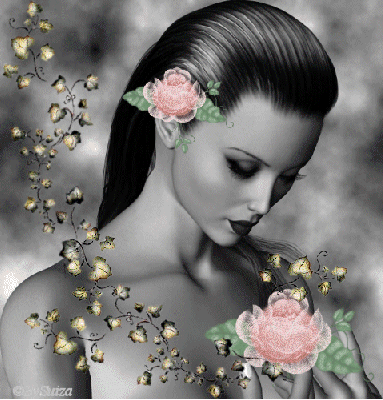 Image hébergée par Casimages.com : votre hébergeur d images simple et gratuit