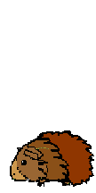 hebergeur image