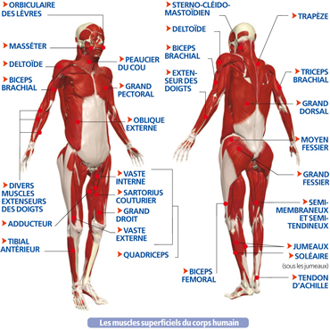 http://nsm03.casimages.com/img/2010/08/17//1008170913151007846578204.jpg