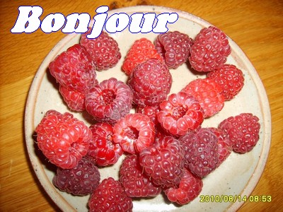 Image hébergée par Casimages.com : votre hébergeur d images simple et gratuit