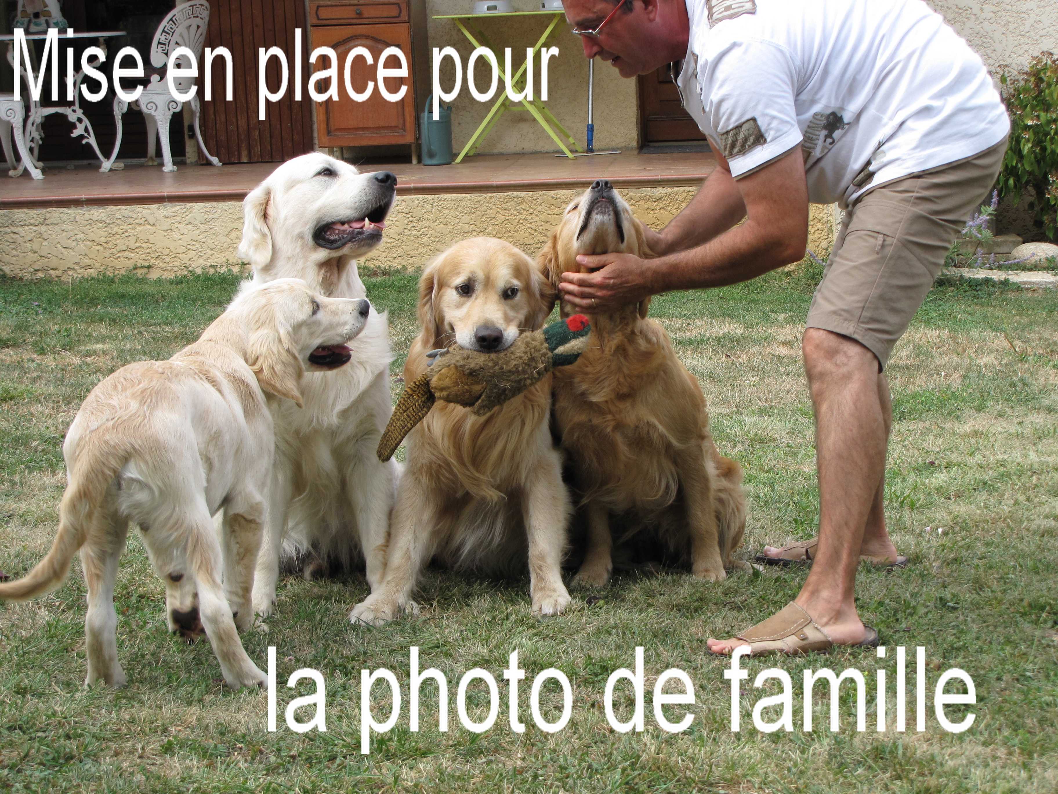 voir l'image en taille r�elle