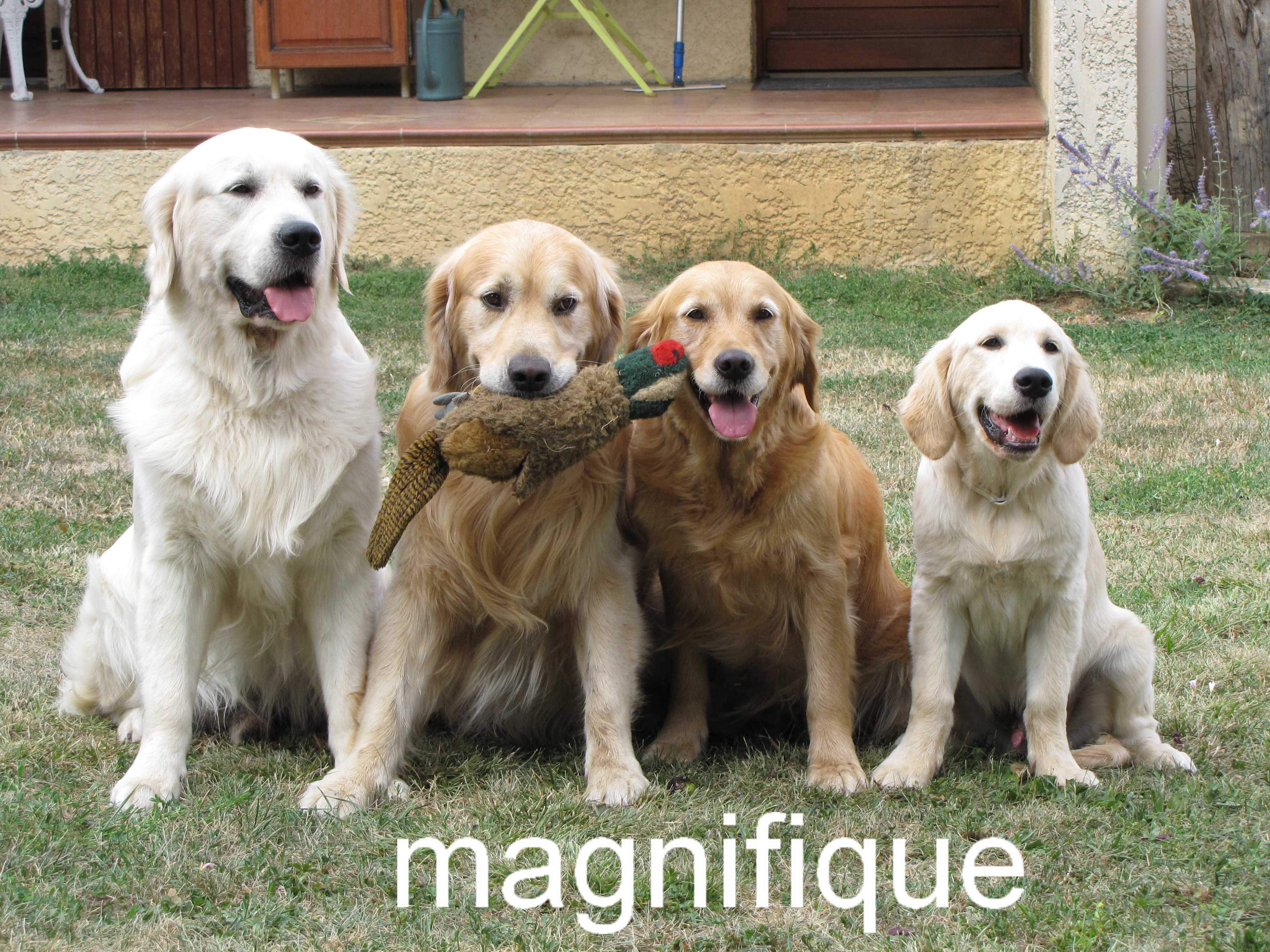 voir l'image en taille r�elle