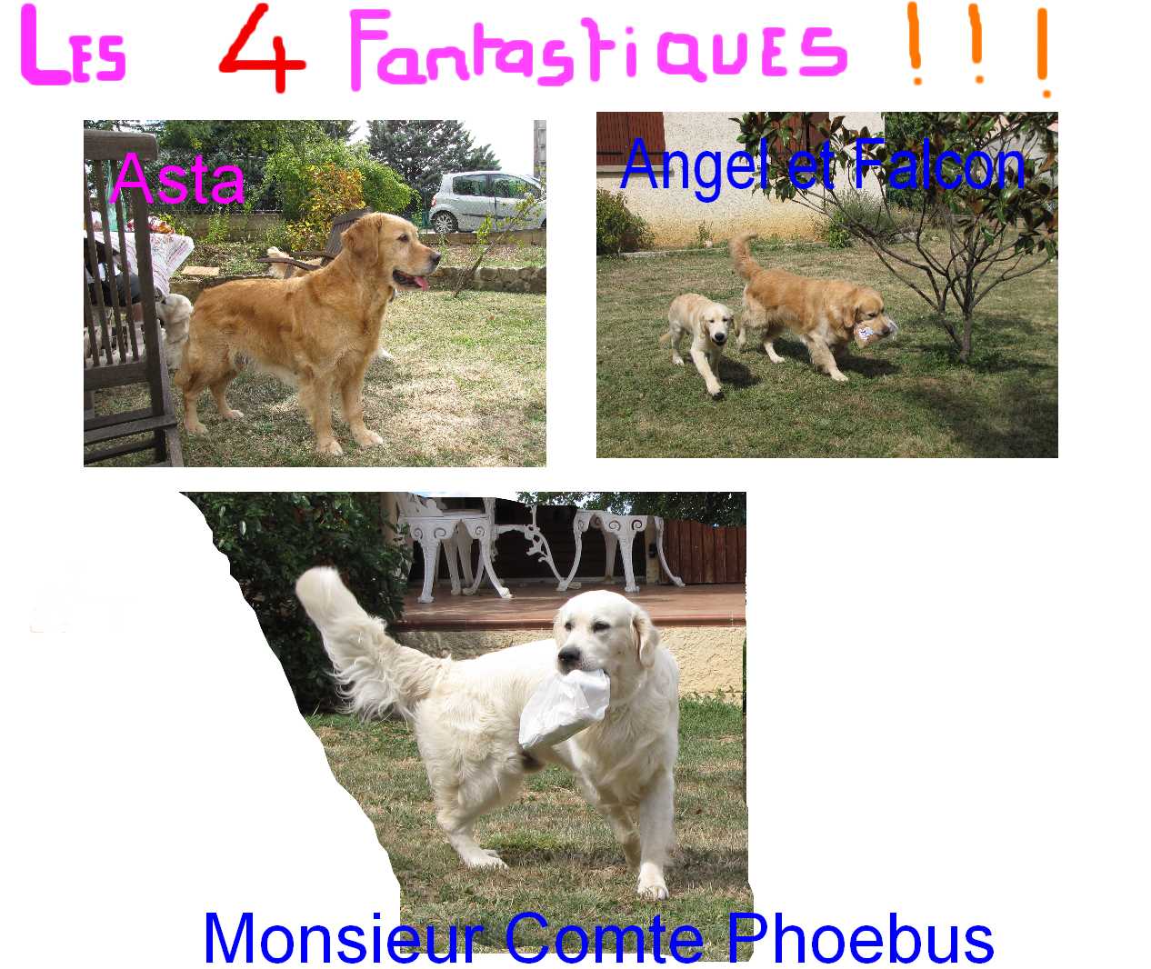 voir l'image en taille r�elle