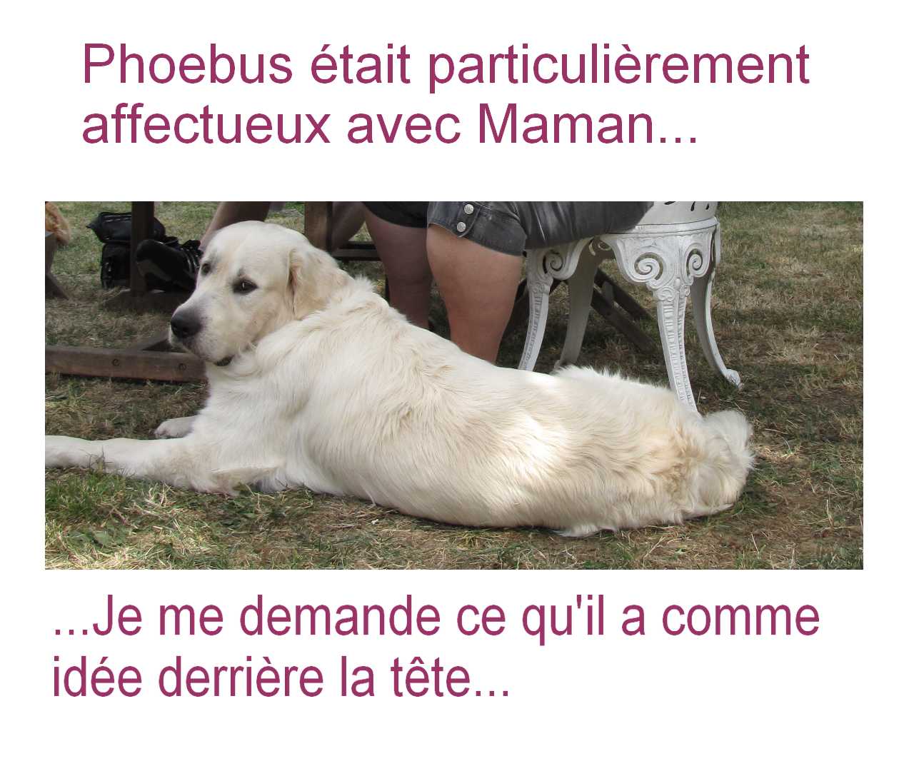 voir l'image en taille r�elle