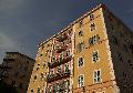 IMGP0161