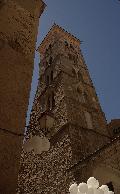 IMGP9696