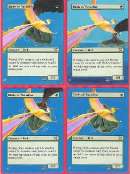 birds of paradise.jpg