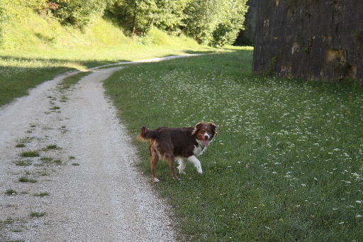Image h�berg�e par Casimages.com : votre h�bergeur d images simple et gratuit