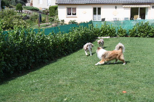 Image h�berg�e par Casimages.com : votre h�bergeur d images simple et gratuit
