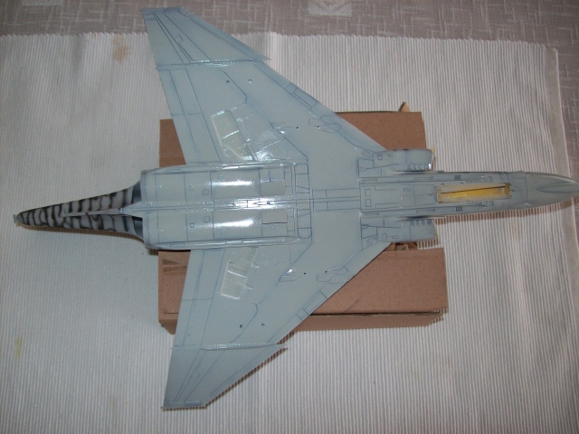 [MC1 - F4 Phantom] F-4N Phantom II [Hasegawa] 1/48  - Page 5 100225125627860295514114