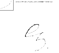 MSpaint - empreinte de la signature dans la fleur