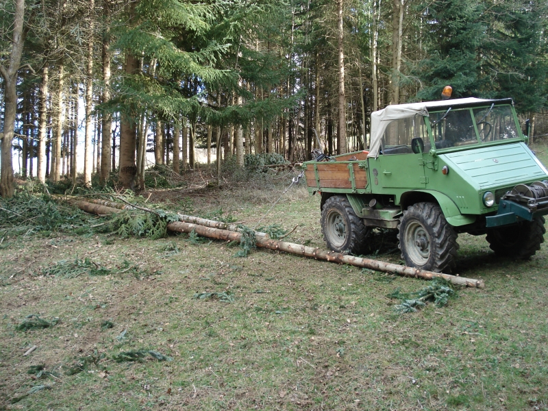 unimog mb-trac wf-trac pour utilisation forestière dans le monde - Page 3 10022809354845865538286