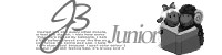 J3 J3