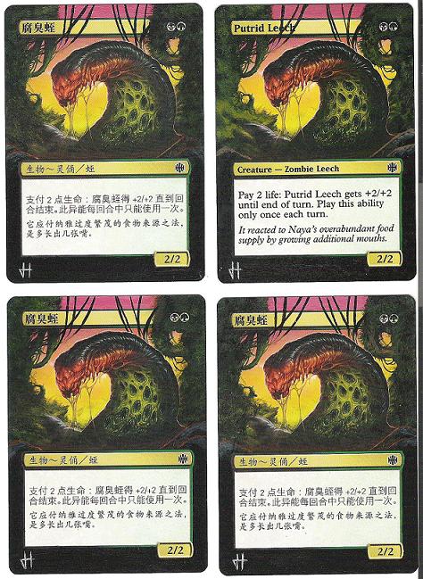 putrid leech