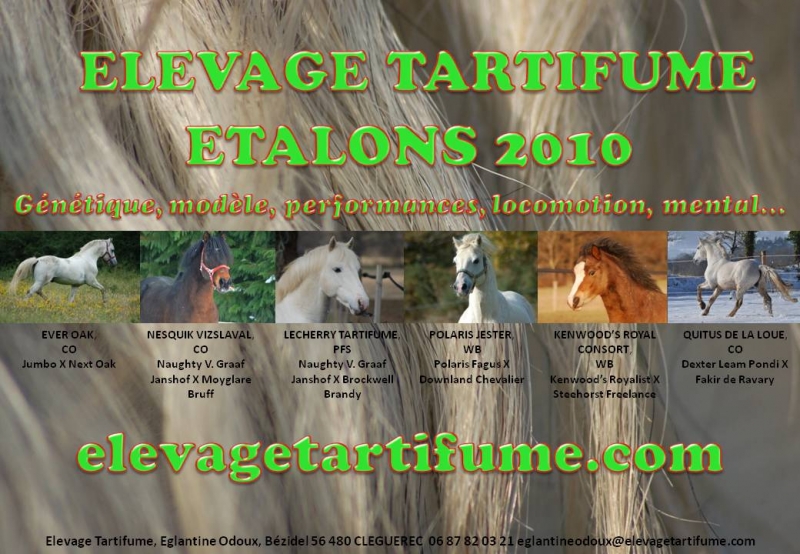 ELEVAGE TARTIFUME foals 2010 à réserver p3 100312020843816725613468