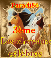 r&Atilde;&copy;compenses chevaux c&Atilde;&copy;l&Atilde;&uml;bres &Atilde;&nbsp; prendre 3eme bis