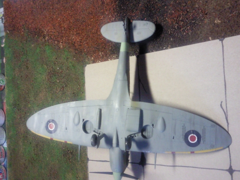 Spitfire MK 5B 1/48 de TAM 100314091801970085624896