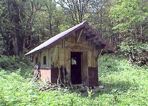 La cabane au fond du jardin... Pour aller faire pipi... 100318055017835935653983