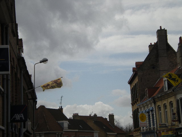 De Vlaamse vlag op onze huizen hangen 100330060735970735733989