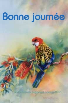 Bonne journée (vendredi 9 avril) 100406021711148915779406