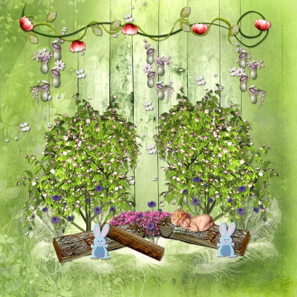 mon-jardin-magique - Page 3 100407083820725565787946