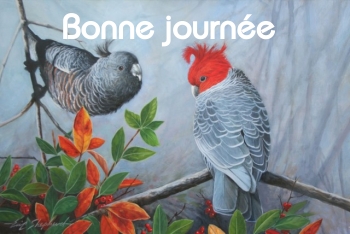 Bonne journée (jeudi 15 avril) 100410023847148915802524