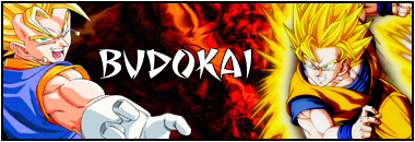 All that is not lost - Signature Budokai