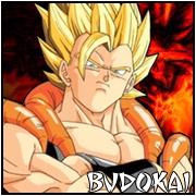 All that is not lost - AVatar Budokai