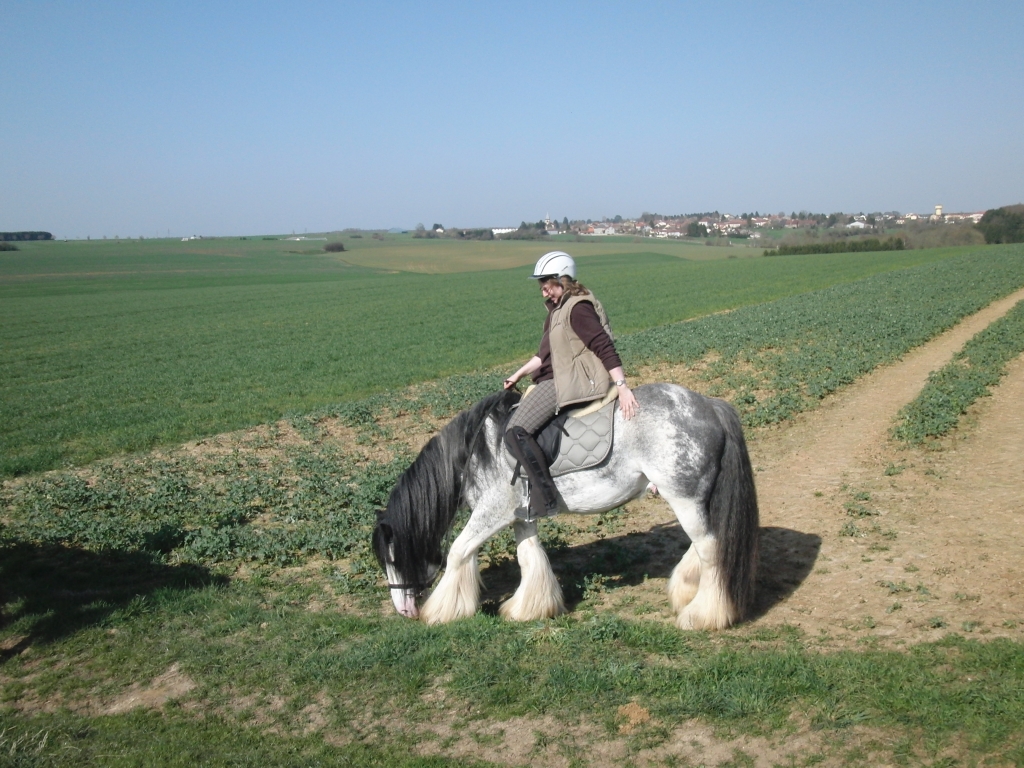 Votez pour "L'irish cob en balade" 100418092810803585860290