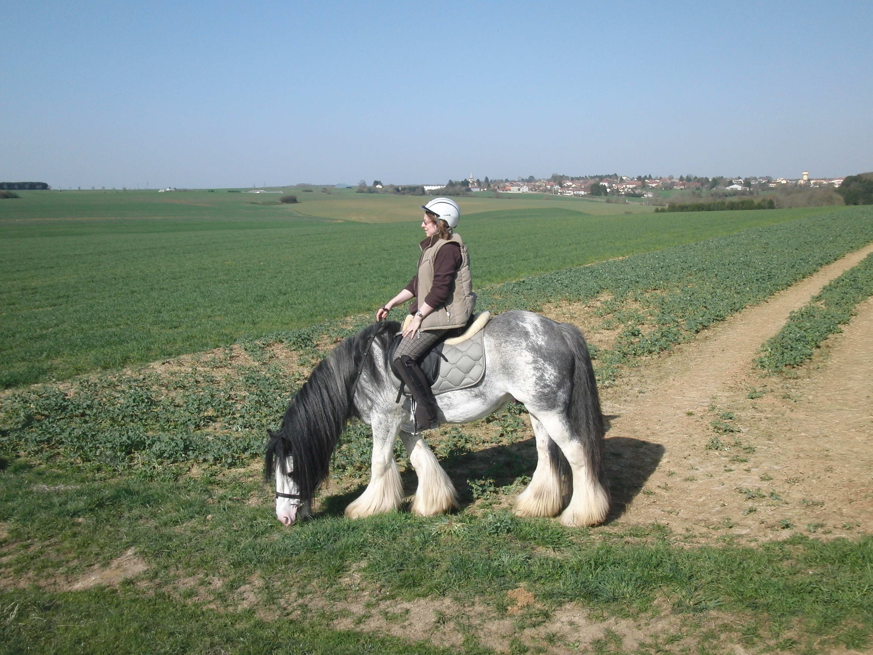 Votre style (ou dégaine) à cheval ? 100418094719803585860538