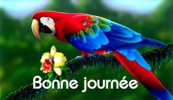 Bonne journée (samedi 24 avril) 100418114209148915861584