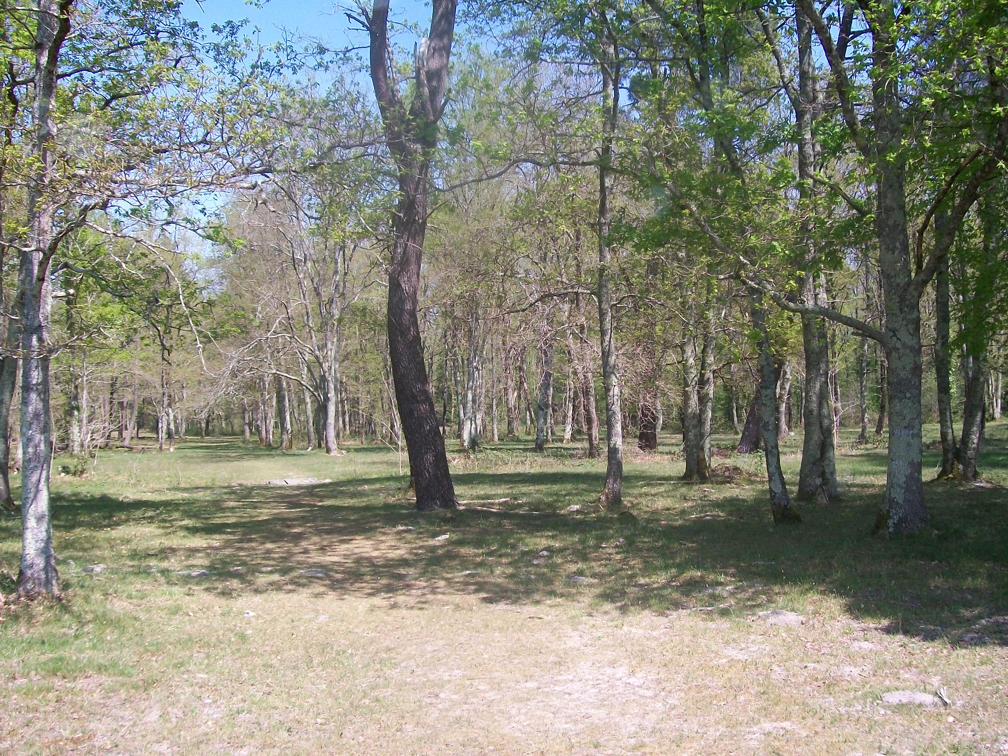 Camping 2
