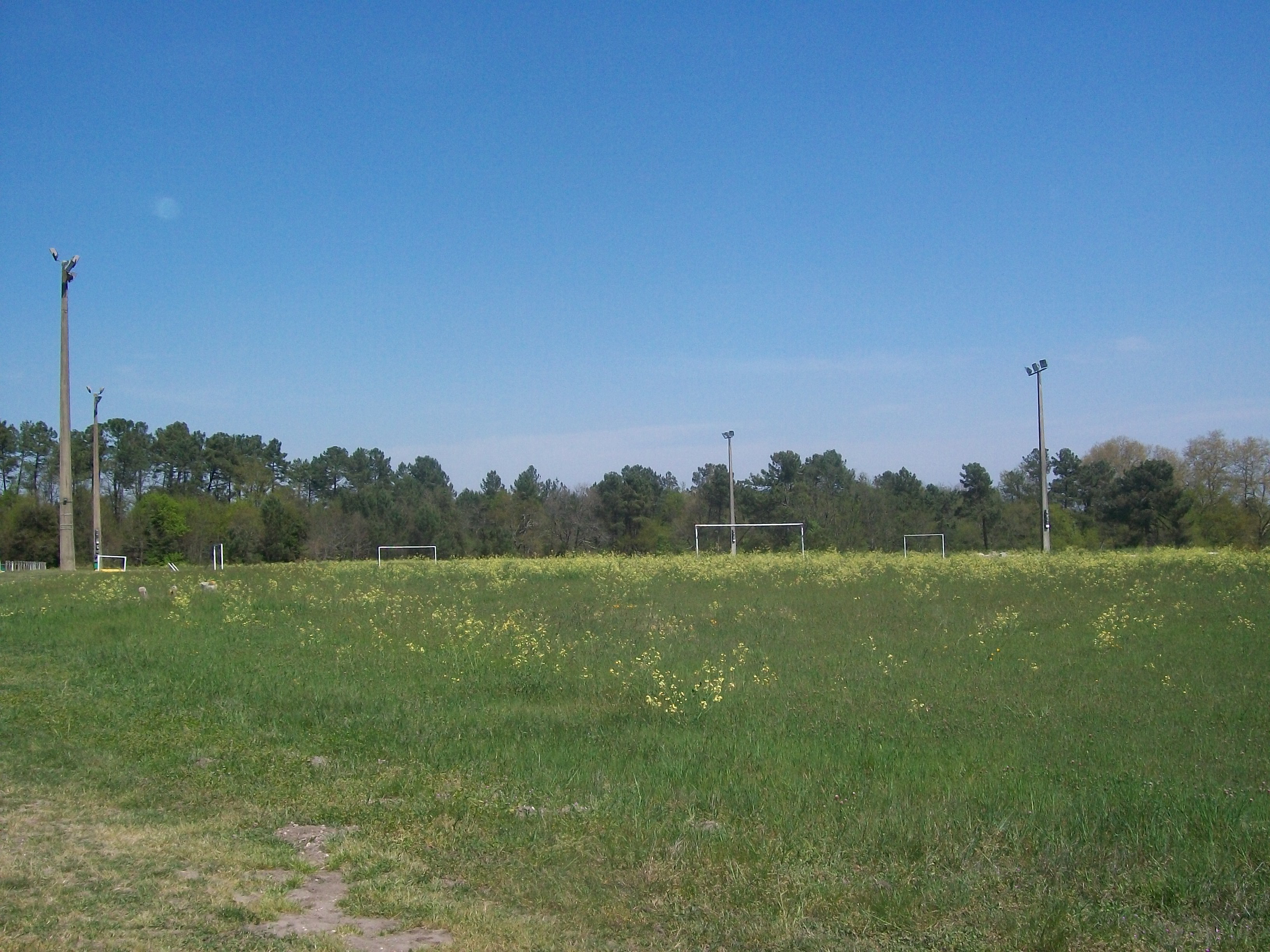 Site des concerts 2
