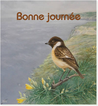 Bonne journée (jeudi 29 avril) 100426025307148915910682