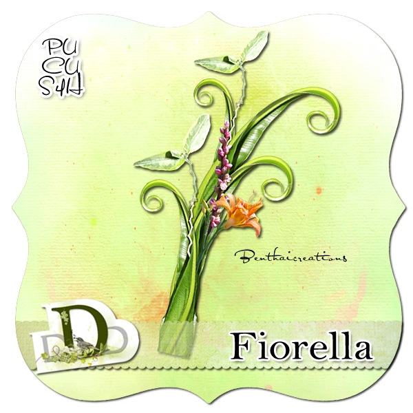 CU flower cluster ..Fiorella 100427054908184675917822