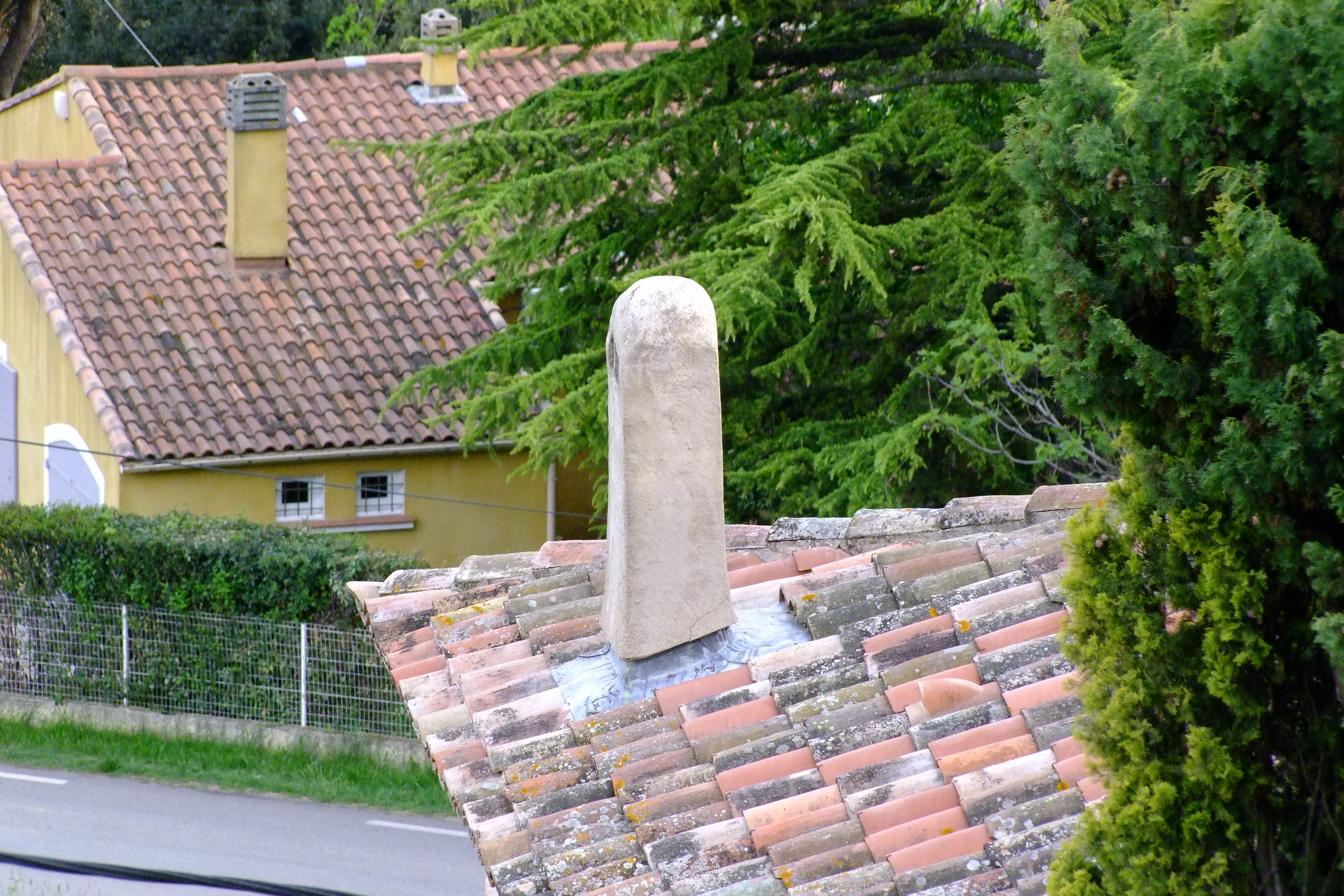 zoom a 290