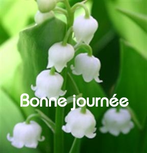 Bonne journée (lundi 3 mai) 100502112059148915953015