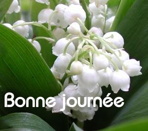 Bonne journée (dimanche 9 mai) 100502112238148915953024