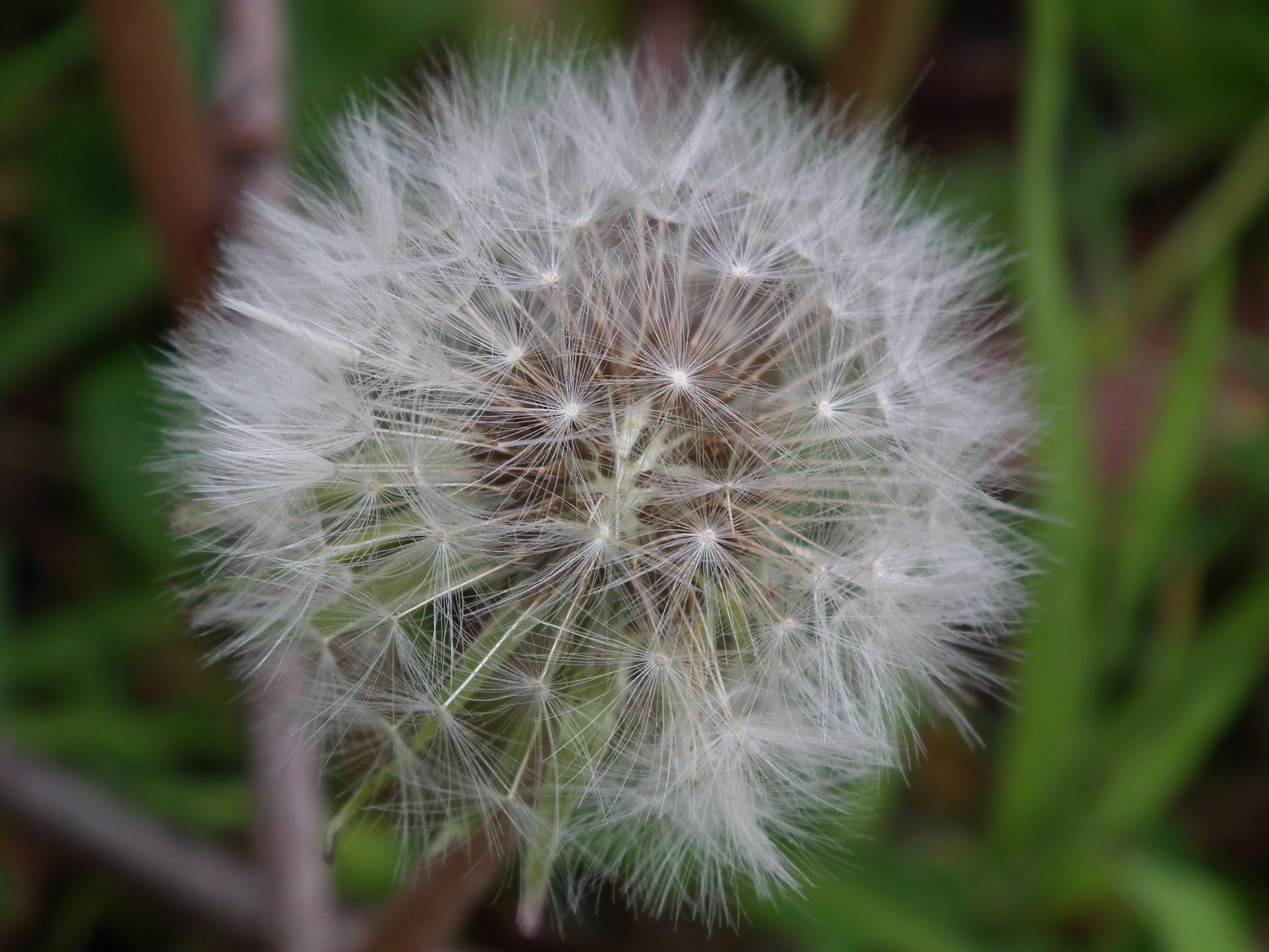 DSCF0102