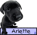 Arlette - Arlette 10051503170277696035866