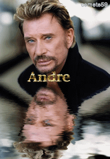 André - André 10051506312677696037513