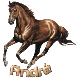 André - André 10051506312677696037515