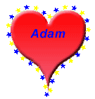 Adam - Adam 10051506323677696037550