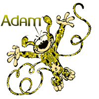 Adam - Adam 10051506392477696037620