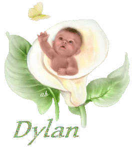 Dylan - Dylan 10051601031177696040196