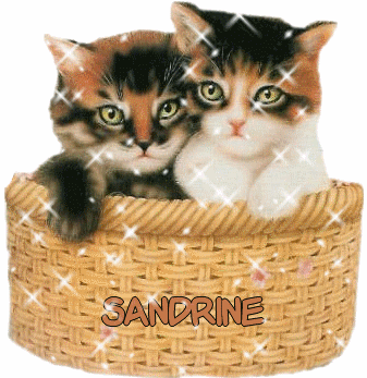 Sandrine (49) 10051609524777696047319