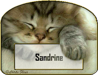 Sandrine (49) 10051609565377696047397