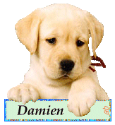 Damien - Damien 10051612561077696040176