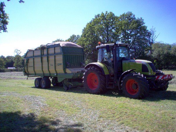 fen01
