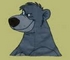 (Administrateur) Baloo, pas du matin, pas du soir !